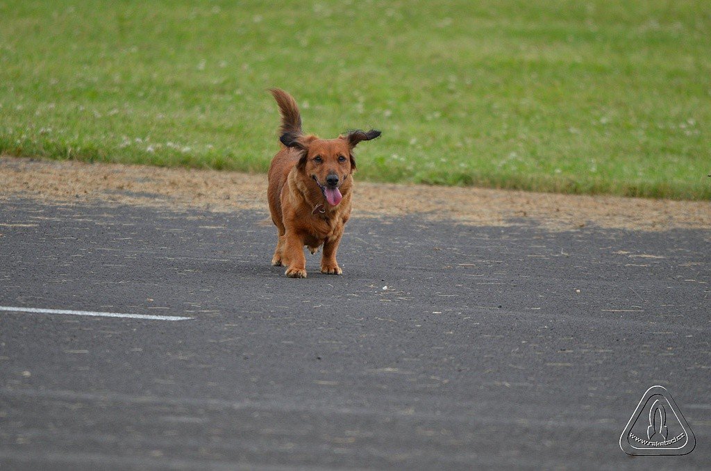 2013 Suche 29062013 Michal